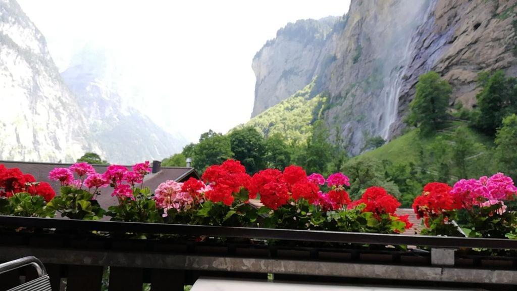 Lauterbrunnen Staubbach Beautiful Waterfall Apartment Exterior photo